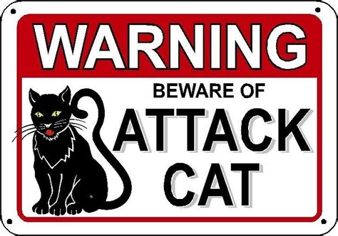 Beware Of Attack Cat Warning Sign Cats Signs Gag T