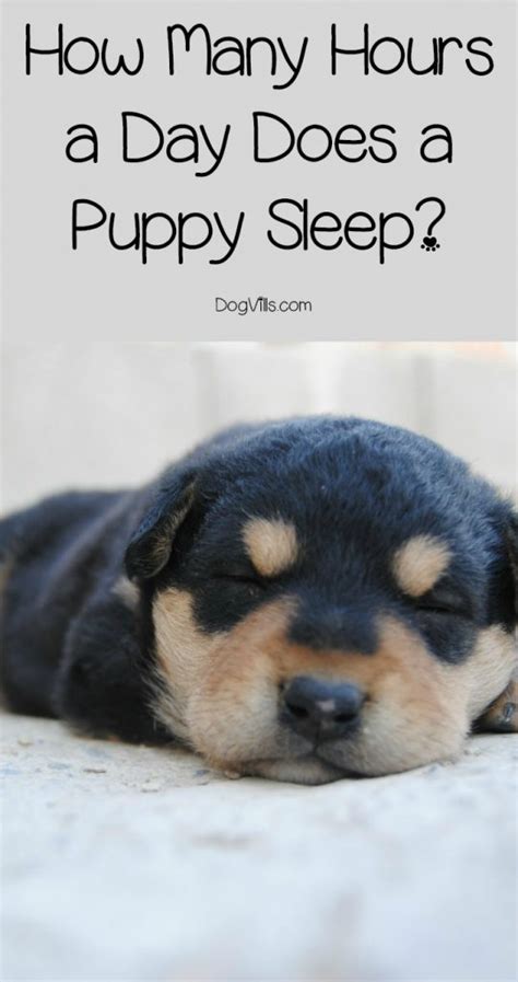 How many hours sleep is good for health? How many hours a day do puppies sleep?