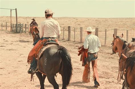 Husband And Wife Post Branding Branding Western Cattle Beautiful