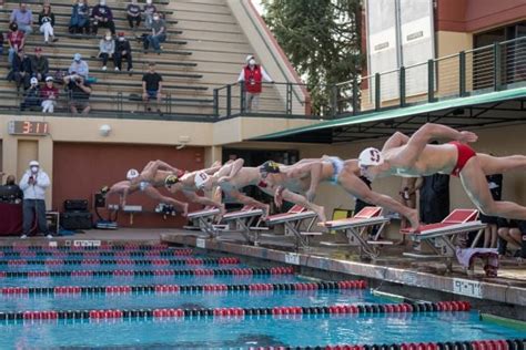 Stanford Mens Swimming And Diving The Stanford Daily
