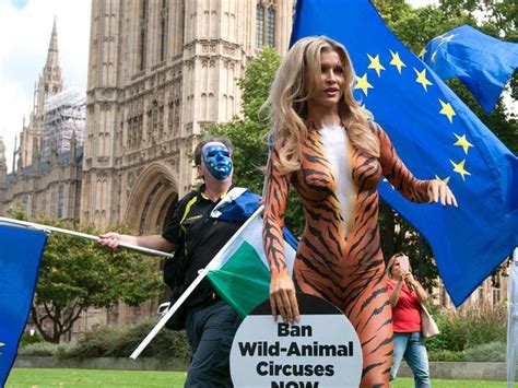 Model Takes On Westminster Painted As A Tiger To Call For Circus Ban Express Star