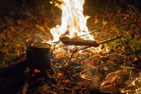 Best 5 Recipes For Cooking In The Wild Road 2 Survival
