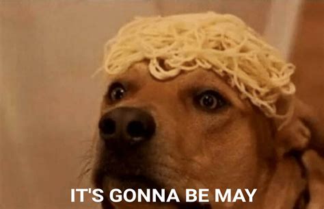 The it's gonna be may meme started in 2012 when someone shared a photo of justin timberlake with the caption from the song, it's gonna be me. maybe you think it's a clever joke; Noodle dog | "It's Gonna Be May" | Know Your Meme