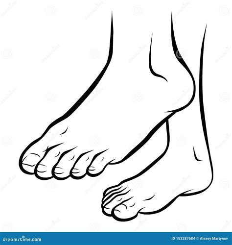 Line Art Feet Stock Vector Illustration Of Background 153287684