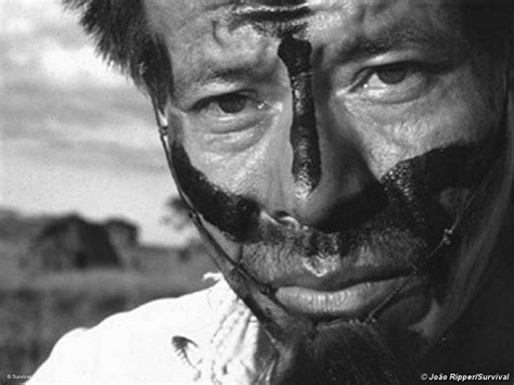 How many people speak guarani? Write a letter for the Guarani - Survival International