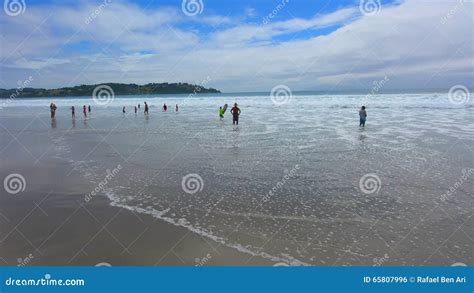 Omaha Beach New Zealand Stock Footage And Videos 16 Stock Videos