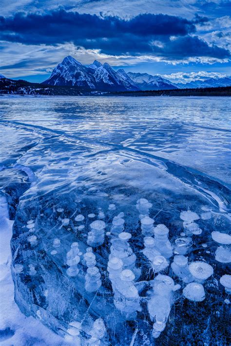 Abraham Lake Ice Bubbles And Mountains Fine Art Photo Print Photos By