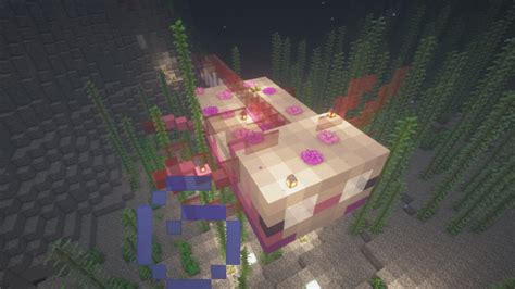 Axolotl House Minecraft Map