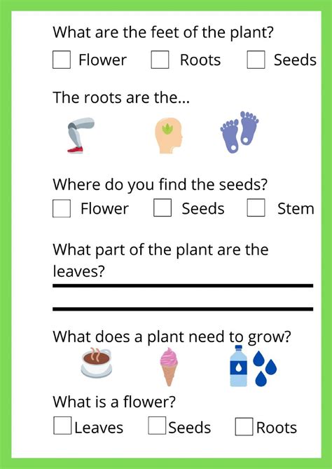 Parts Of The Plant Interactive Worksheet For 1st Grade Interactive