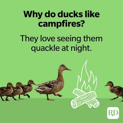 45 Duck Jokes That Will Quack You Up Laptrinhx News