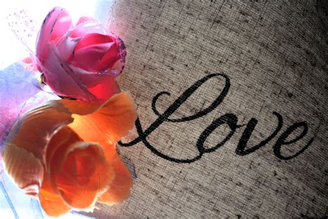 Love Flower Roses Faith Colorful Free Stock Photo Public Domain Pictures