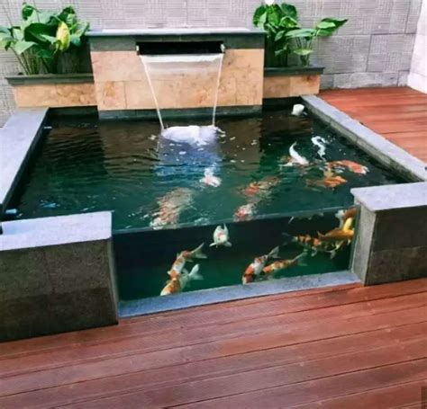 Menambahkan kolam ikan adalah ide yang sangat indah, sebuah rumah yang indah dengan #kolamikan dapat membuat rumah lebih hidup. tukang kolam ikan koi/minimalis - Konstruksi dan Taman ...