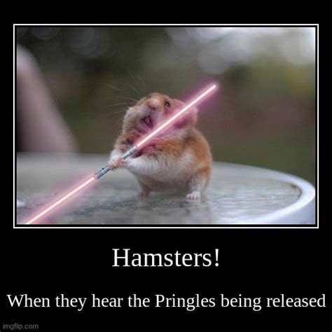 One Scary Hamster Is Between You And Your Precious Pringles Imgflip