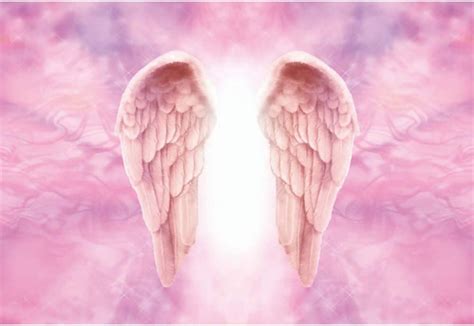Dorcev Pink Angel Wings Photography Backdrop Girls