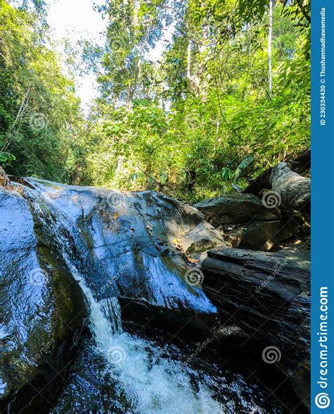 Sinharaja Forest Reserve Sri Lanka Stock Photo Image Of Biodiversity