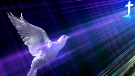 Holy Spirit In Body Form Like A Dove Video Background Loop 1080p Full