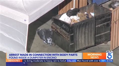 man arrested for dismembered body parts in dumpster wife and in laws missing