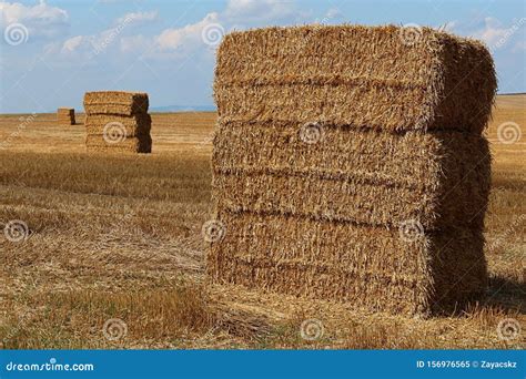 Stacked Large Rectangular Hay Bales Placed On Field After Harvest Blue
