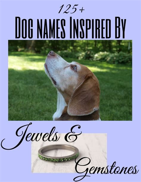 40 Powerful Dog Names For Your Loyal Noble Guard Dog Pethelpful