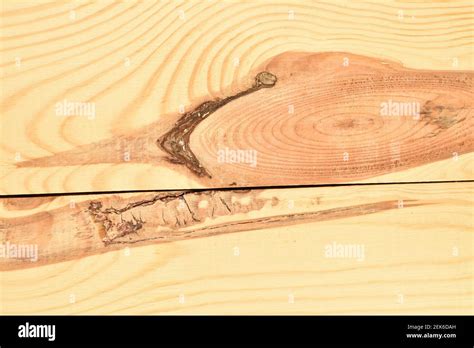 Treated Natural Wood Planks Pine Stock Photo Alamy