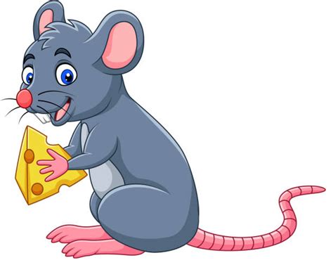 Mouse Eating Illustrations Royalty Free Vector Graphics And Clip Art