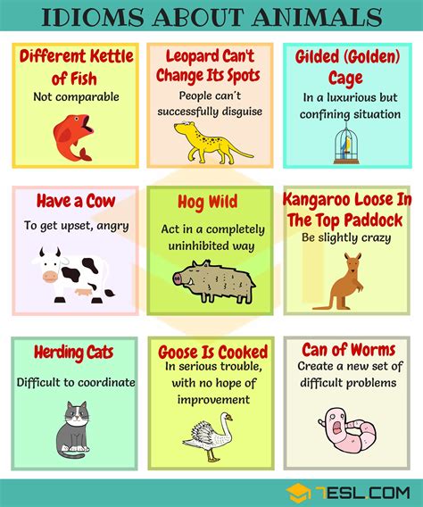 Plus, get details about the origin and history of both common idioms and rare ones, including in which countries they're used most. Common Nature Idioms in English with Meaning and Examples ...