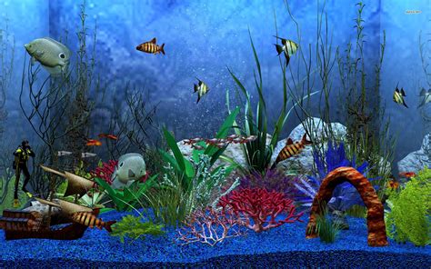 47 Aquarium Hd 1080p Wallpaper Wallpapersafari