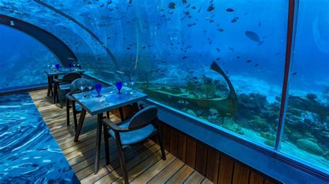 세계 최대 규모 수중 레스토랑 몰디브 후라왈리 리조트 58 수중 레스토랑 58 Undersea Restaurant