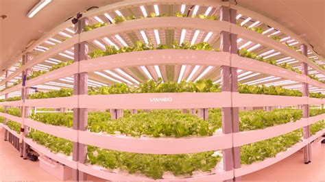 Singapores Largest Indoor Farm To Give Food Firms And National Food
