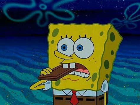 Spongebob Eating A Chocolate Bar Spongebob Funny Spongebob Chocolate