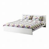 Malm Bed Frame Low Pictures