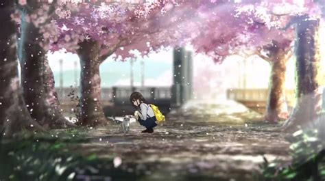 It revolves around an unnamed protagonist (let's call him character a) as he spends time with yamauchi sakura, a popular classmate whose days are numbered due her terminal pancreatic disease. Filme de Kimi no Suizou wo Tabetai é Anúnciado -Anime United