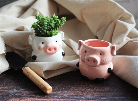 Cute Pig Planter Kitchen Pig Decor 2 Pack Ceramic Succulent Etsy