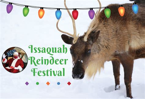 Reindeer Festival At Cougar Mountain Zoo Visit Issaquah