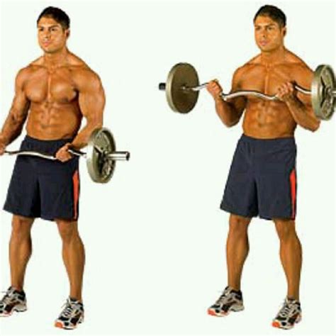 Biceps Curl EZ Bar - Exercise How-to - Workout Trainer by ...