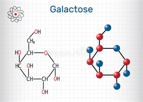 Galactose Alpha D De Molecule Van De Melksuiker Cyclische Vorm