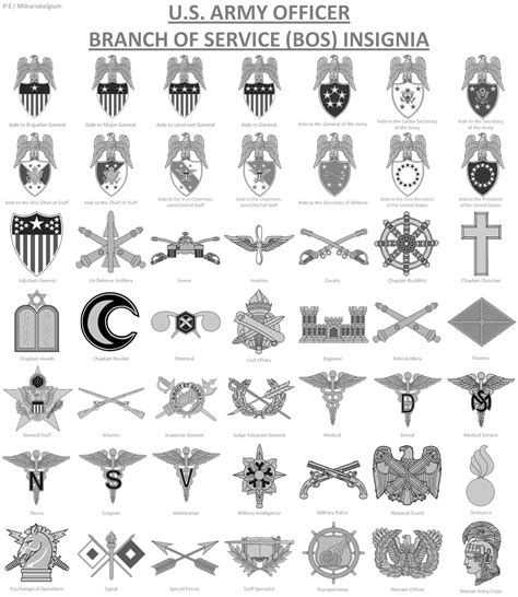 Us Army Officer Branch Insignia Army Military