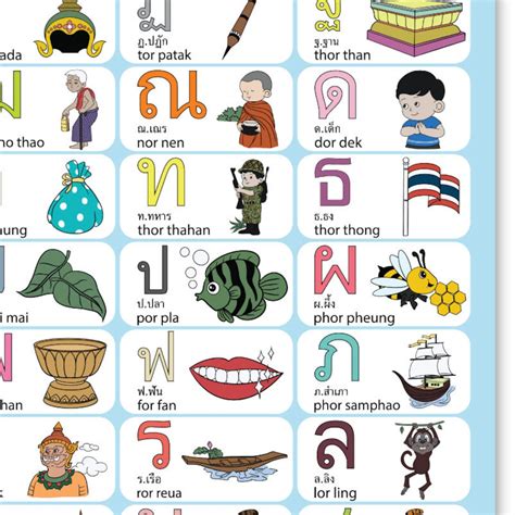 Thai Alphabets Poster High Resolution Pdf Learning Thai Etsy Australia