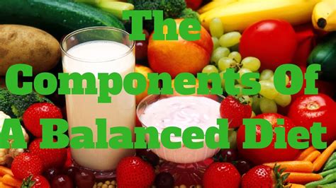 The Components Of A Balanced Diet Youtube