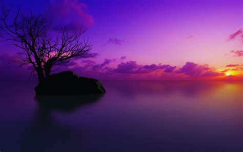 Hd Purple Sunrise Wallpaper Download Free 104514