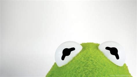 Love Kermit The Frog Wallpapers On Wallpaperdog