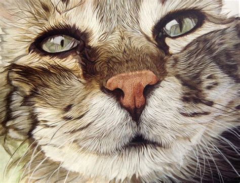 Artists Who Create Close Ups The Arty Teacher Animal Painter Cat