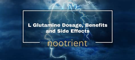 L Glutamine Dosage Benefits And Side Effects Nootropics