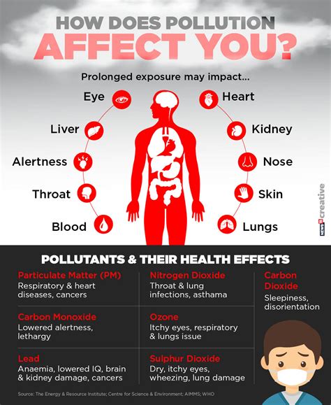 This Chart Reveals How Pollution Affects Your Health