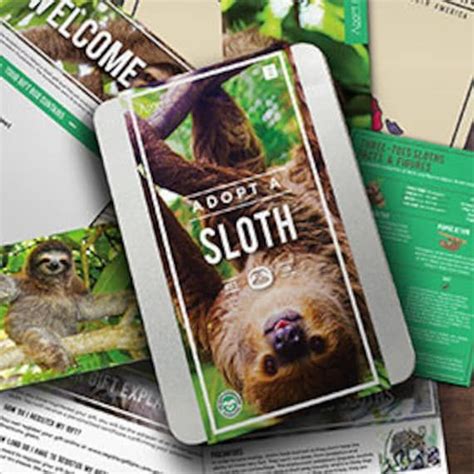 This Adoption Pack Works With The Sloth Conservation Foundation Sloco