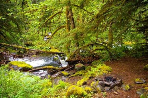 Herman Creek Forks Hiking In Portland Oregon And Washington