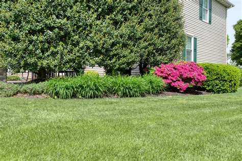 4 Tips For A Beautiful Lawn This Spring Tomlinson Bomberger