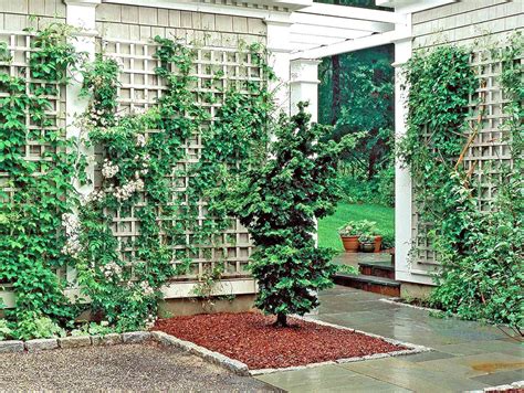 Wall Trellises Perfect For Flowering Vines Better Homes And Gardens