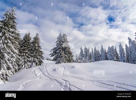 Fantastic Winter Landscape Colorful Sky Glowing By Sunlight Stock