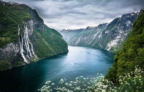 Wallpaper Flowers Mountains Norway The Fjord Images For Desktop